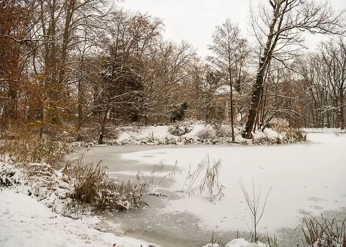 Centrum Edukacyjno-rozwojowe Pawlowice - Bezplatny Parking Готель типу 